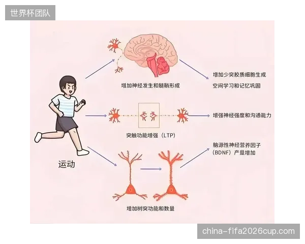 批判：市面上多数精准运动干预产品价格高昂、操作复杂，服务的是已有健身习惯的精英，而非更需要健康指导的沉默大多数